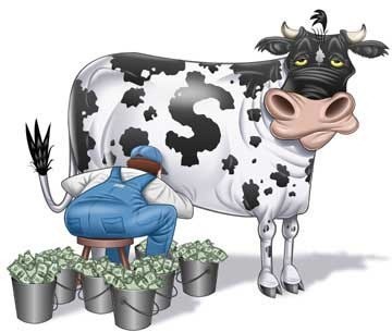 I wish we had a cash cow