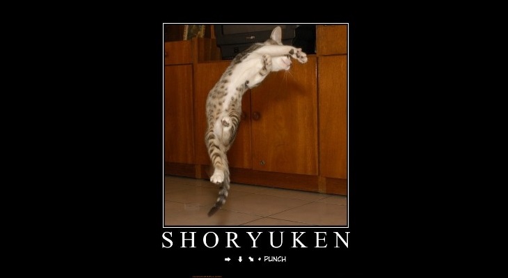 Shoryuken cat