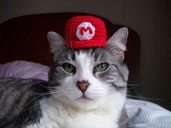cat-in-mario-hat