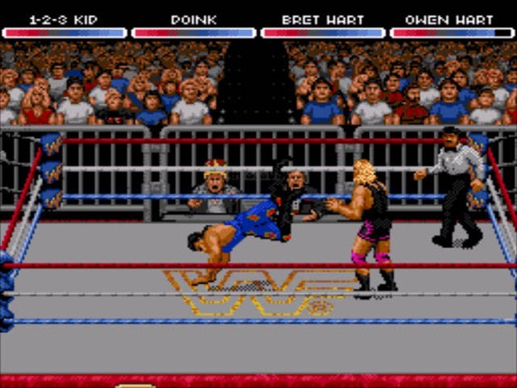 Raw 1994 game