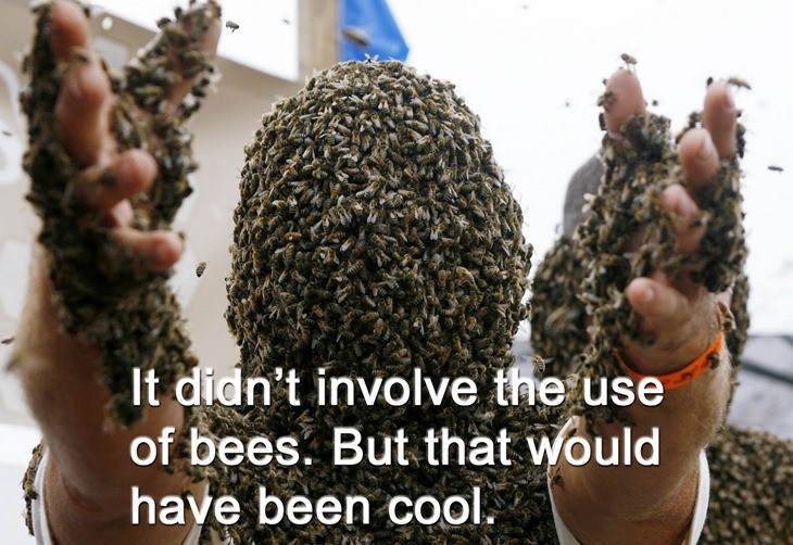 NOT THE BEES!