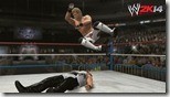 WWE (14)