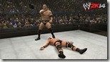 WWE (22)
