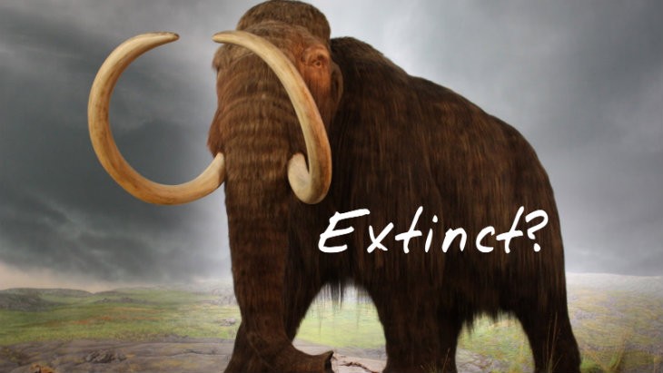 COD Extinction