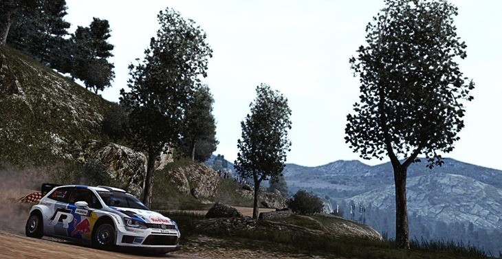 WRC 4 (7)