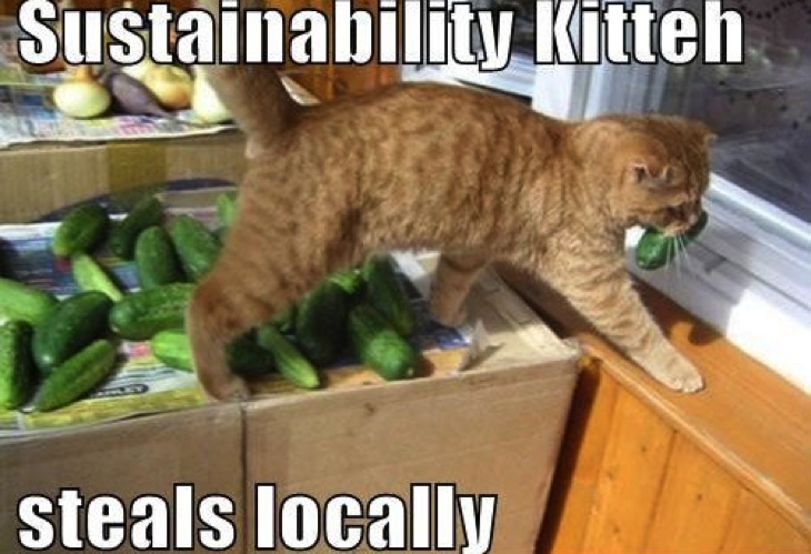Sustainability kitty